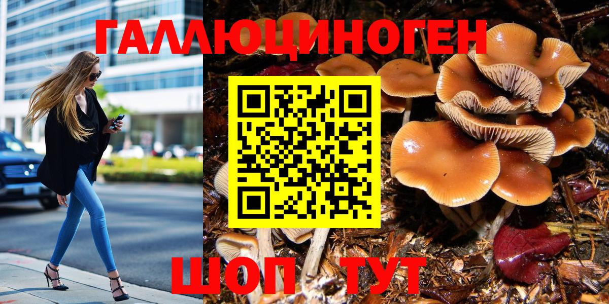 Псилоцибиновые грибы Cubensis Калуга