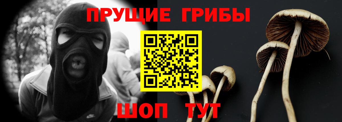 Галлюциногенные грибы мухоморы  Галлюциногенные грибы MAGIC MUSHROOMS  Калуга  где купить наркоту  Вход с VPN 